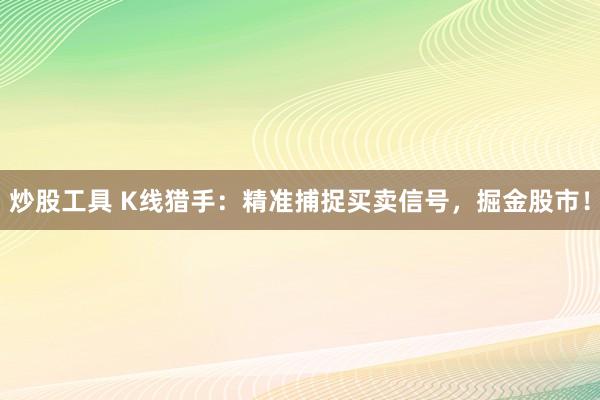 炒股工具 K线猎手：精准捕捉买卖信号，掘金股市！
