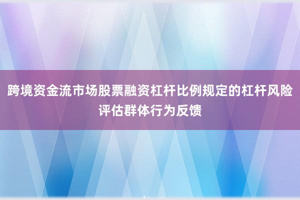 跨境资金流市场股票融资杠杆比例规定的杠杆风险评估群体行为反馈