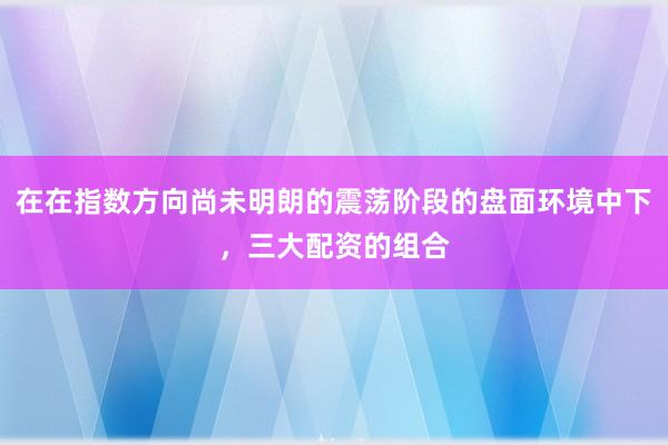 在在指数方向尚未明朗的震荡阶段的盘面环境中下，三大配资的组合