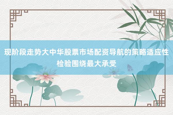 现阶段走势大中华股票市场配资导航的策略适应性检验围绕最大承受