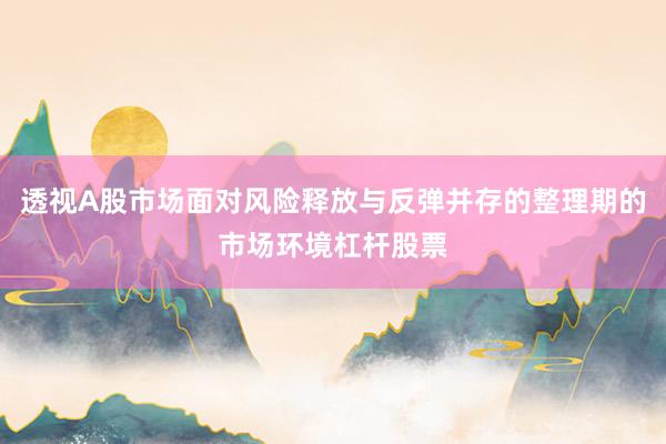 透视A股市场面对风险释放与反弹并存的整理期的市场环境杠杆股票