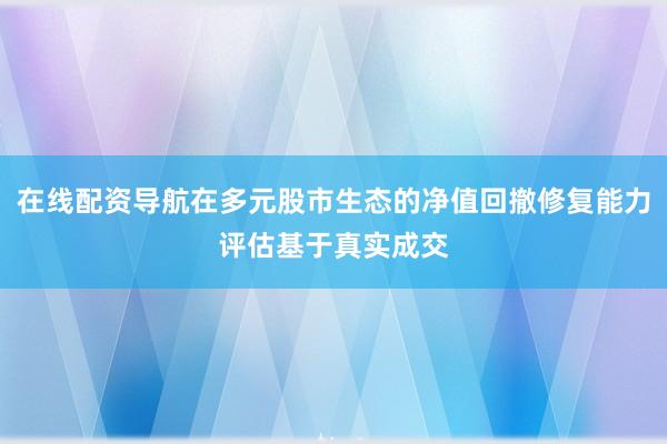 在线配资导航在多元股市生态的净值回撤修复能力评估基于真实成交