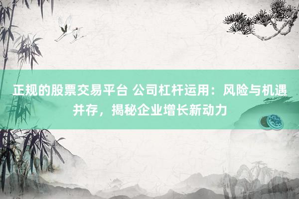 正规的股票交易平台 公司杠杆运用：风险与机遇并存，揭秘企业增长新动力