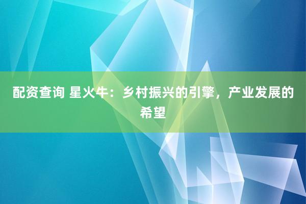 配资查询 星火牛：乡村振兴的引擎，产业发展的希望