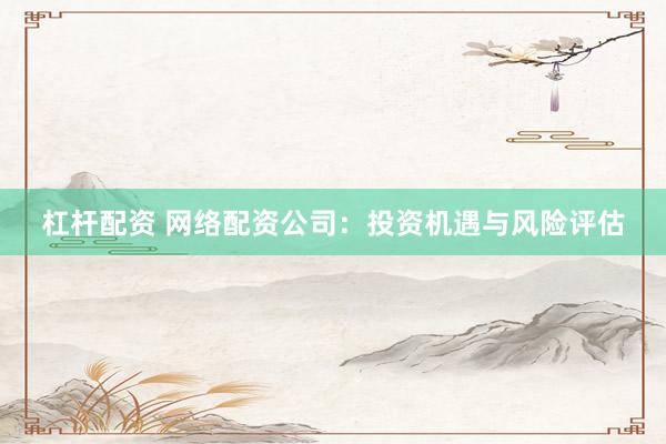 杠杆配资 网络配资公司：投资机遇与风险评估